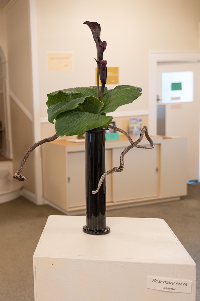Roots and Branches Sept 2022 - Image 6